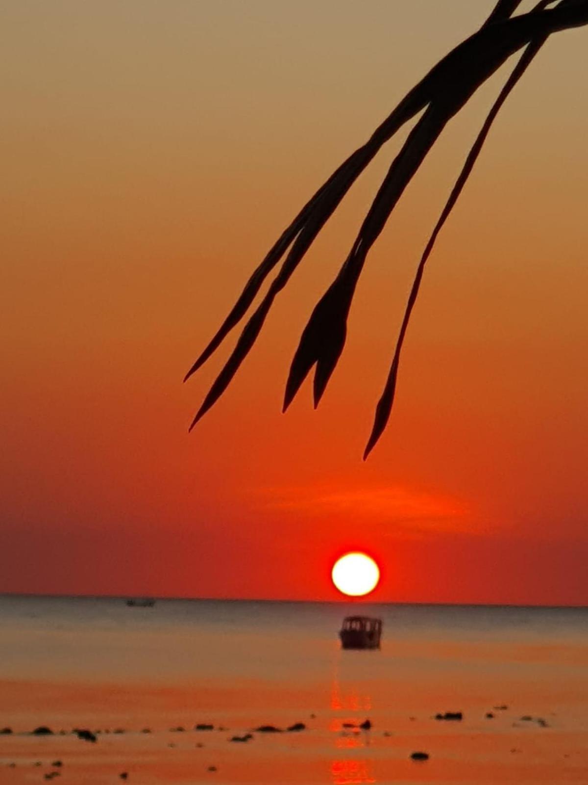 Sunset Moyo Bungalows Moyo Island Eksteriør billede